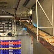 UVC transportbånd dekontaminering i brødindustrien